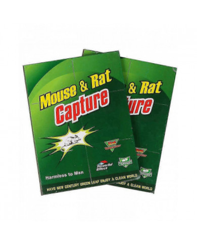 Lot De 3 Pièges A Colle Souris Rat Glue, Deratisation Attrape Souris Professionnel, Alternative Raticide Souricide [...]