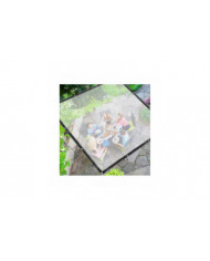 100% Nouveau, bâche transparente imperméable à l’eau w / œillets Heavy Duty Pvc Patio Plant Cover