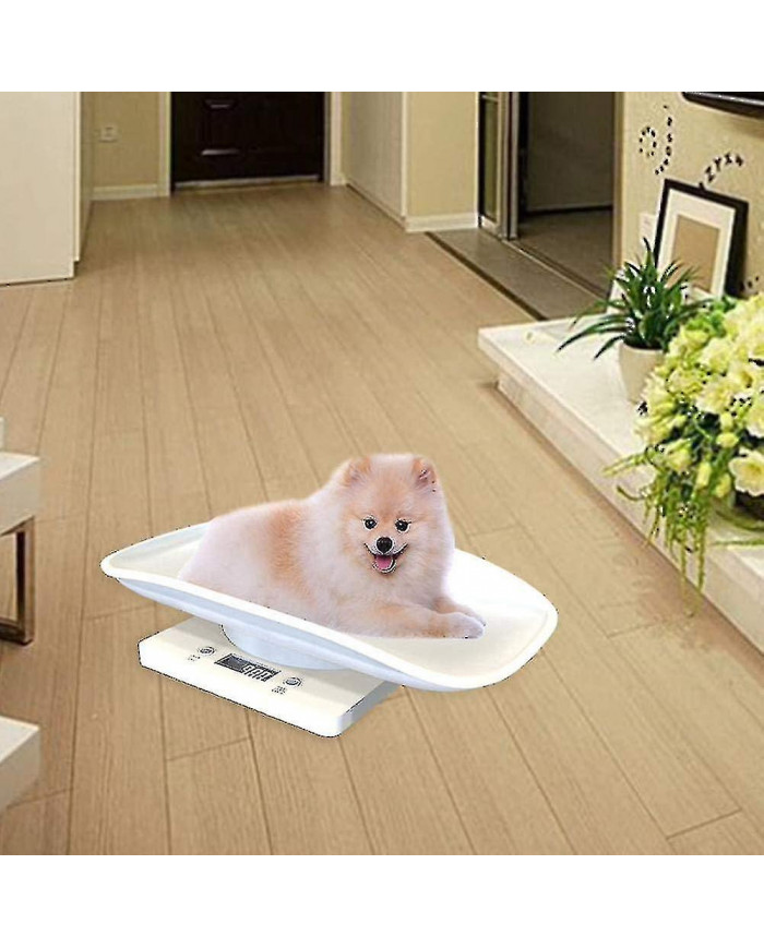 Échelle numérique Balance bébé Balance animale pour bébé ou animaux jusqu’à 10 kg Style écailles blanches