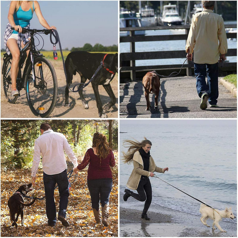 Laisse Réfléchissante Pour Chien Avec Sacs À Caca Et Distributeur (rouge)