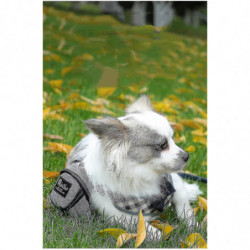 Dog Treat Bag Pet Feces Treat Bag Holder Dog Feces Treat Bag Dispenser Outdoor Stand Carry Dog Trash Zipper Bag [...]