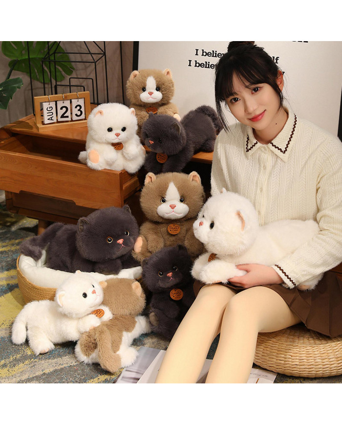 Naievear Simulé Chat Peluche Jouet Assis Couché Chaton Doudou Moelleux En Peluche Animal Poupée Bureau À Domicile [...]