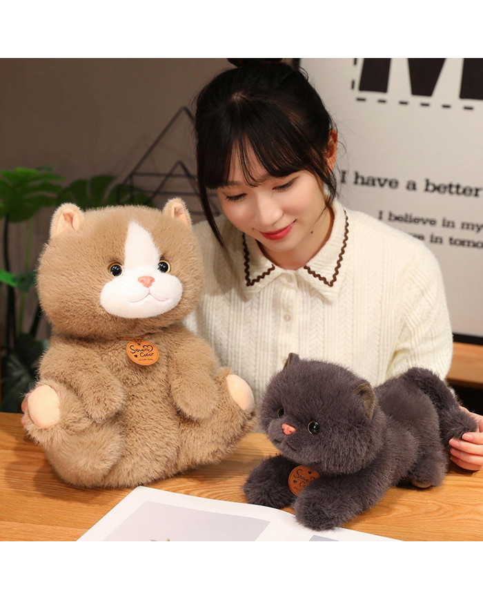 Naievear Simulé Chat Peluche Jouet Assis Couché Chaton Doudou Moelleux En Peluche Animal Poupée Bureau À Domicile [...]