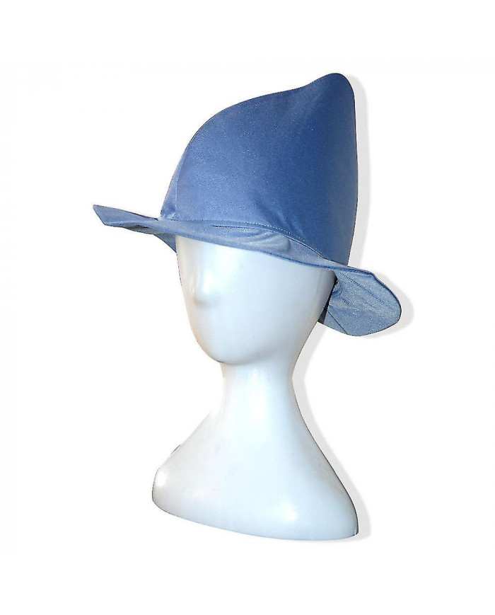 Wizard School Sorcière Fleur Isabelle Delacour Cosplay Costume Beauxbaton Magic Femmes Uniforme École Chapeau Robe [...]