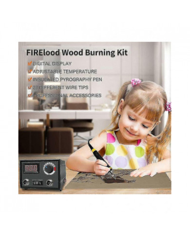 Pyrographie Kit de combustion de bois Outil de poêle à bois Dual Pen 60w Mise à niveau Machine de pyrographie réglable
