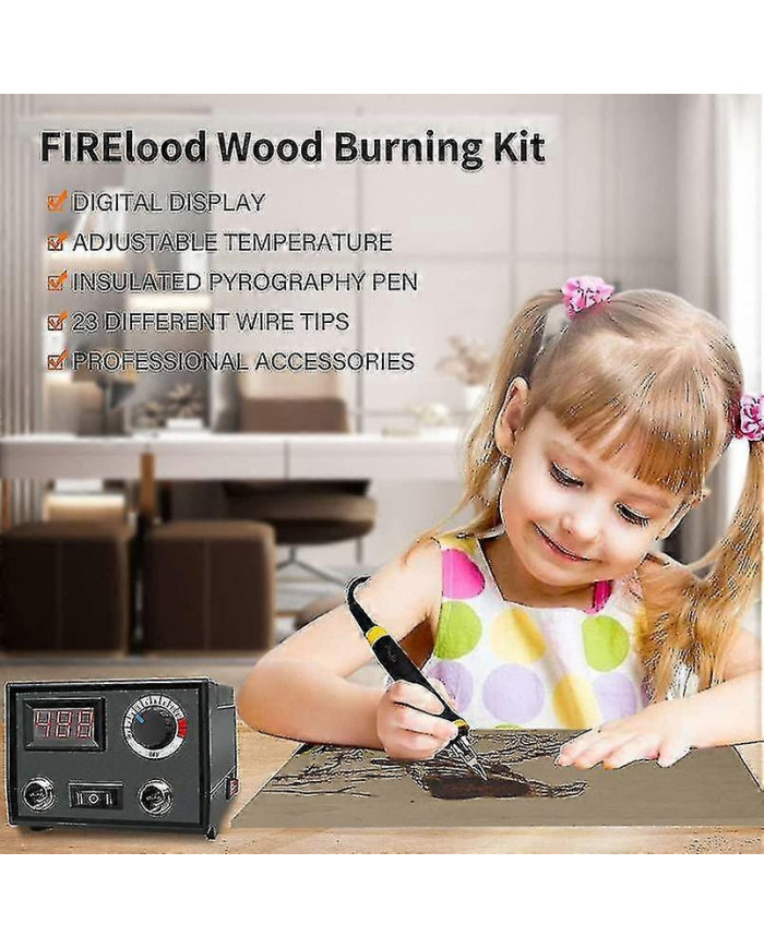 Pyrographie Kit de combustion de bois Outil de poêle à bois Dual Pen 60w Mise à niveau Machine de pyrographie réglable