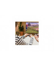 Manette pour Nintendo Switch, remplacement des manettes Switch avec double vibration/réveil/capture d’écran