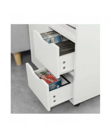 SoBuy FBT105-W Organisateur de support d’imprimante roulant