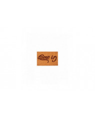 Bienvenue-partez Venez paillasson Ndoor Tapis de sol extérieur antidérapant 40x60cm