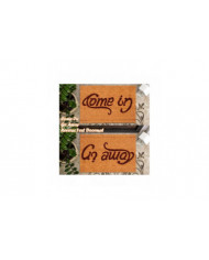 Bienvenue-partez Venez paillasson Ndoor Tapis de sol extérieur antidérapant 40x60cm