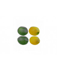 Large Artificial Lemons And Limes, Realistic Decorative Fake Prop Fruits - Set Of 12