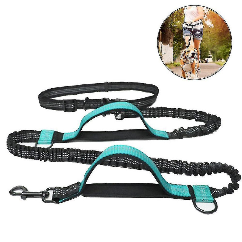 Laisse pour chien, avec ceinture de taille réglable pour courir