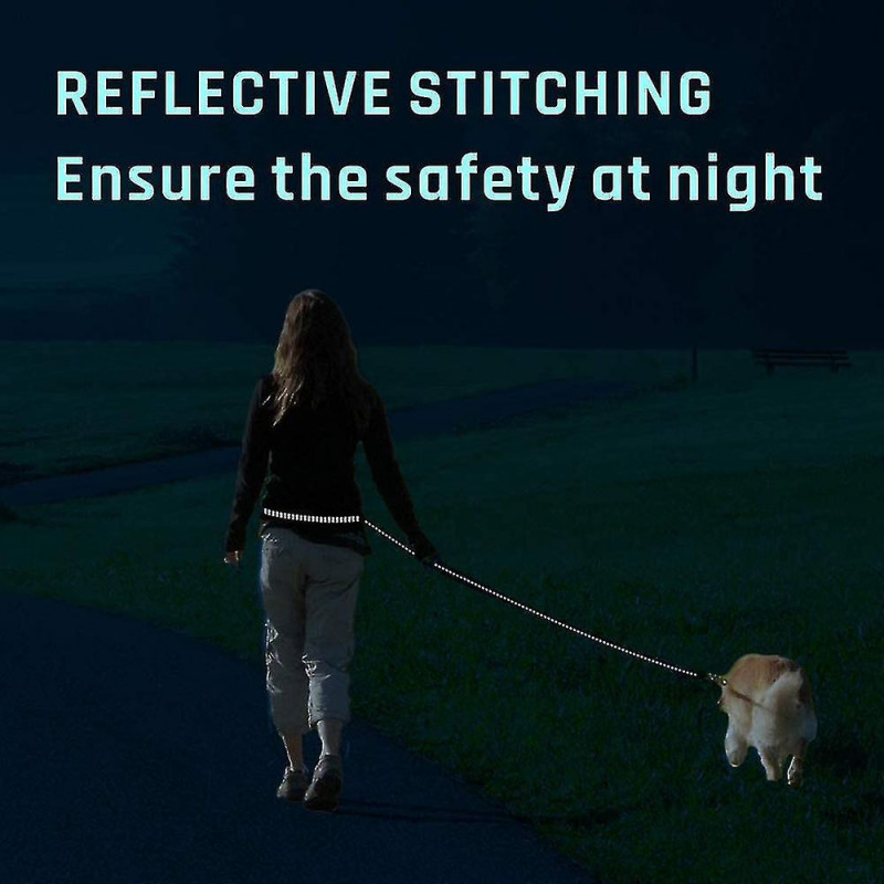 Laisse pour chien, avec ceinture de taille réglable pour courir