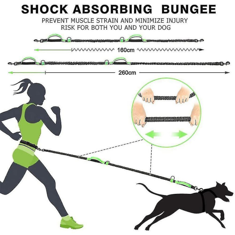 Laisse pour chien, avec ceinture de taille réglable pour courir