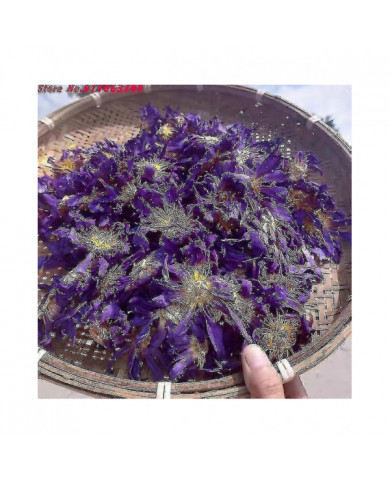 Top 5a Lotus Bleu Fleurs Séchées Pour Sachet Pillow Remplissage Nymphaea Naturel En Vrac Pour Bougie Mariage [...]