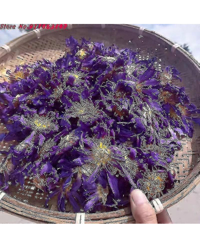 Top 5a Lotus Bleu Fleurs Séchées Pour Sachet Pillow Remplissage Nymphaea Naturel En Vrac Pour Bougie Mariage [...]