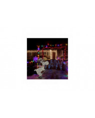 New Arrived Outdoor Christmas Figure Led Skiing Moose Garden Decoration Plug In Timer Hot