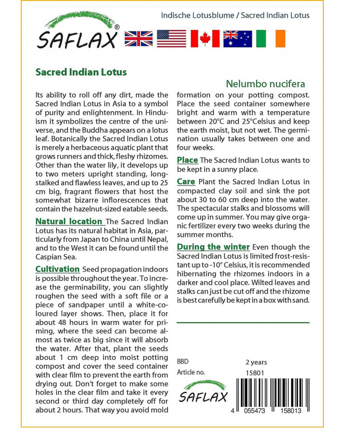 Saflax - 8 graines - sacré indien Lotus - Lotus sacré - Fior di loto asiatico - Lloto sagrado - Indische Lotusblume