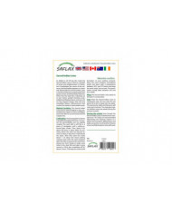 Saflax - 8 graines - sacré indien Lotus - Lotus sacré - Fior di loto asiatico - Lloto sagrado - Indische Lotusblume