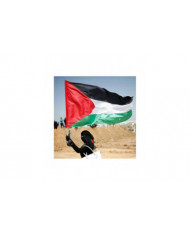 SKY FLAG Grand drapeau de la Palestine 150 x 90cm suspendu Haute Qualité Polyester Gaza Bannière palestinienne