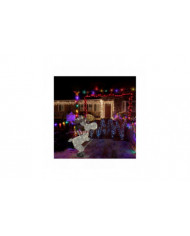 Figure de Noël en plein air a mené l’ornement de décoration de jardin d’orignal de ski 30cm