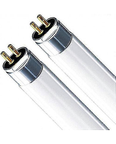 T5 Haute Efficacité 840 Blanc Froid Fluorescent 549mm Tube 4000k HE (FH1840)
