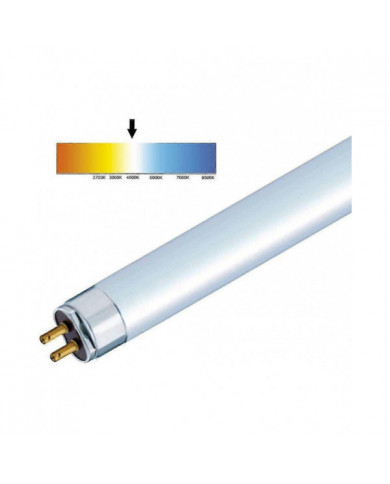 T5 Haute Efficacité 840 Blanc Froid Fluorescent 549mm Tube 4000k HE (FH1840)