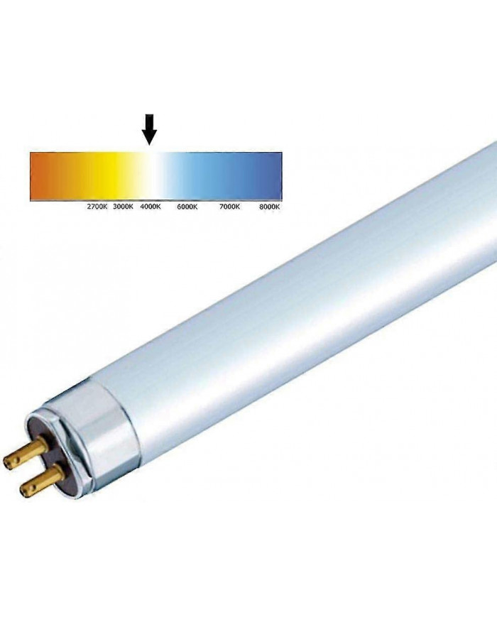 T5 Haute Efficacité 840 Blanc Froid Fluorescent 549mm Tube 4000k HE (FH1840)