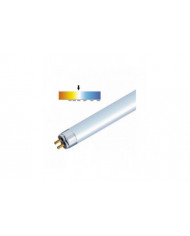 T5 Haute Efficacité 840 Blanc Froid Fluorescent 549mm Tube 4000k HE (FH1840)