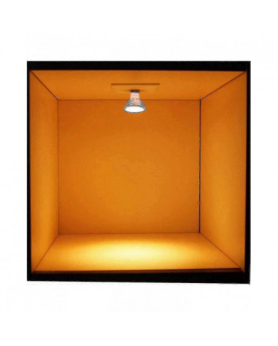 12v 35w lampes halogènes Gu5.3 Spot Base Blanc chaud, Dimmable, Pack De 8