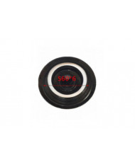 Réservoir d’eau IBC de 1000 litres avec vanne adaptateur S60x6 et 3/4-yvan (robinet uniquement)