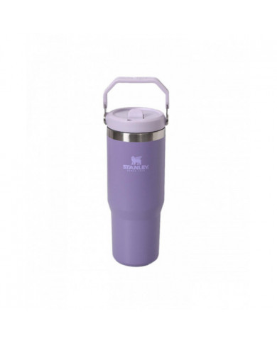 Gobelet de paille de 30 oz en acier inoxydable Tasse isolée sous vide Tasse thermique de grande capacité étanche pour