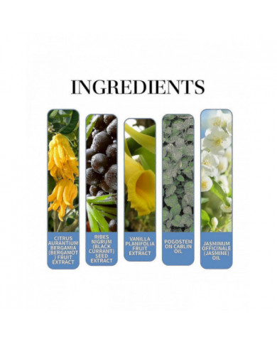 Rebel By Alloura Pour Homme, Alloura Rebel, Rebel From Alloura