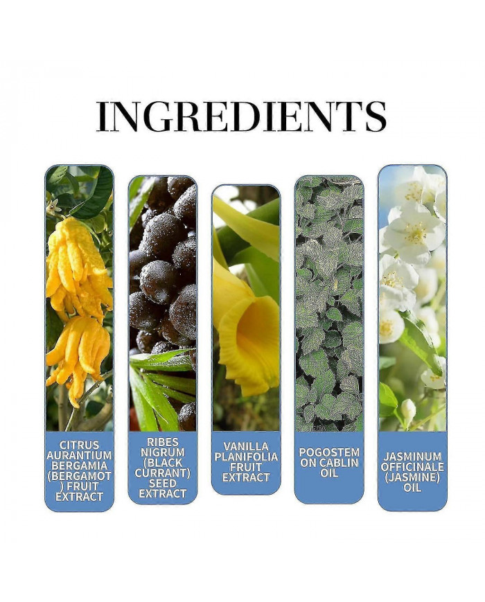 Rebel By Alloura Pour Homme, Alloura Rebel, Rebel From Alloura