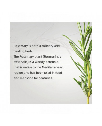 Huile essentielle de croissance des cheveux Romarin Menthe Huile fortifiante pour les cheveux Traitement [...]