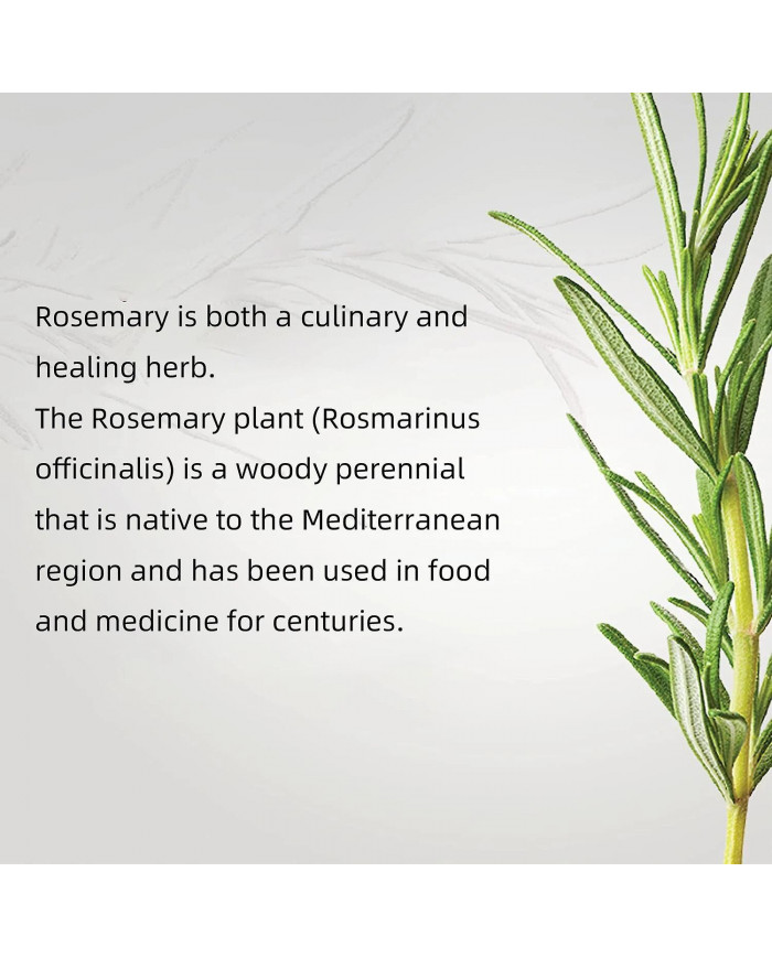 Huile essentielle de croissance des cheveux Romarin Menthe Huile fortifiante pour les cheveux Traitement [...]