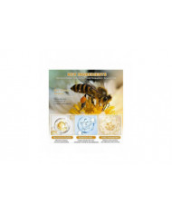 Crème anti-rides au venin d’abeille, Crème hydratante anti-rides pour le visage et le cou, Crème hydratante pour [...]
