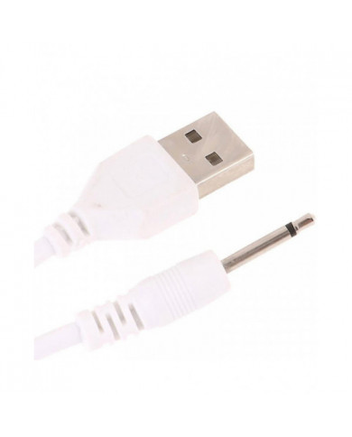 Usb Dc 2.5 Vibrateur Chargeur Cordon de câble pour Rechargeable Adult Toys Vibrateurs