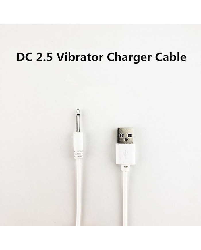Usb Dc 2.5 Vibrateur Chargeur Cordon de câble pour Rechargeable Adult Toys Vibrateurs