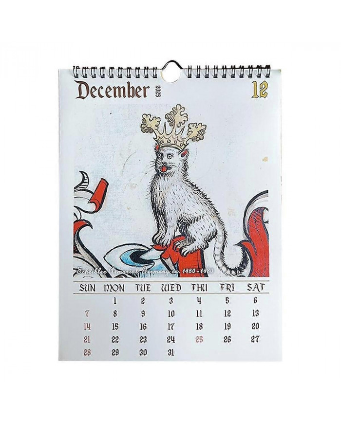 Calendrier médiéval chat 2025 Étrange chat médiéval calendrier mural 2025 laide chat médiéval calendrier 12 mois