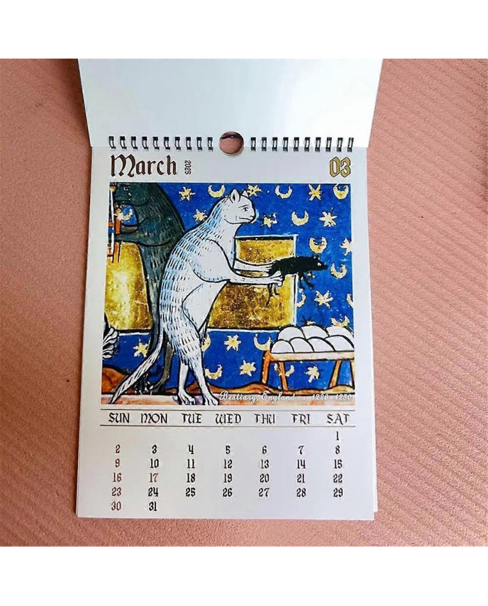 Calendrier médiéval chat 2025 Étrange chat médiéval calendrier mural 2025 laide chat médiéval calendrier 12 mois