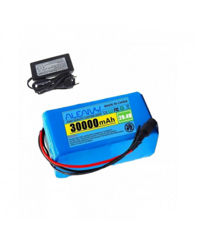 Batterie 24V 30Ah 7S3P 30000mAh Batterie Li-ion de vélo électrique et chargeur