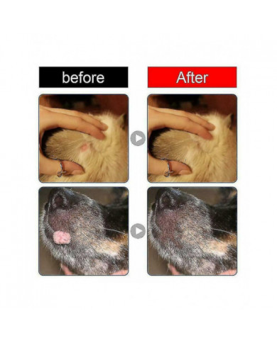 Dissolvant naturel de verrues pour chiens Étiquettes de peau de chien Traitement d’élimination des verrues pour chiens