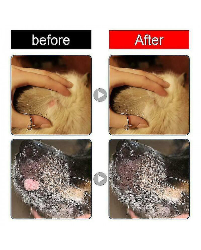 Dissolvant naturel de verrues pour chiens Étiquettes de peau de chien Traitement d’élimination des verrues pour chiens