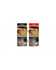 Dissolvant naturel de verrues pour chiens Étiquettes de peau de chien Traitement d’élimination des verrues pour chiens