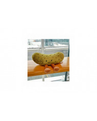 Vert Cornichon Peluche Poupée Petit Végétal Nourriture Coussin Décoration Cadeau D'anniversaire Des Enfants