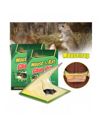 Strong Mouse Catching Sticker Professional Thicken Mice Pad Board for Indoor Outdoor