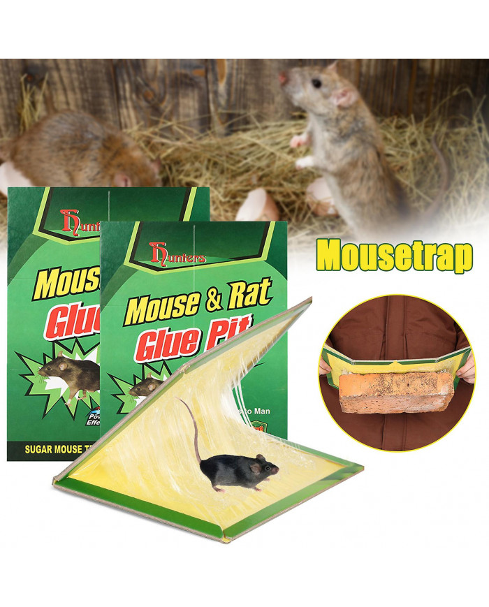 Strong Mouse Catching Sticker Professional Thicken Mice Pad Board for Indoor Outdoor