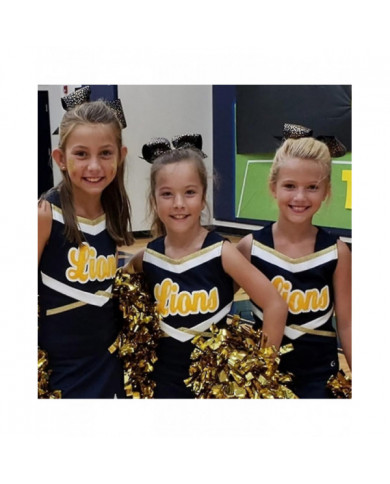 4 Pack Cheerleading Pom Poms, Pom Poms métallique avec poignée de bâton d’entraînement