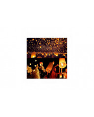 Paquet de 10 lanternes célestes Lanterne en papier résistant au feu écologique, biodégradable sans fil à libérer [...]